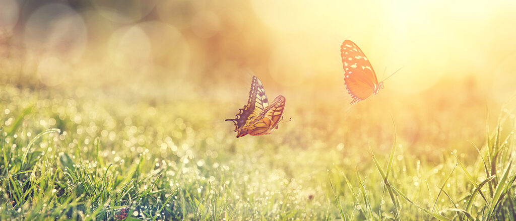 AIを「正しく疑う」ことの大切さ｜実務者だからこそ持つべき視点