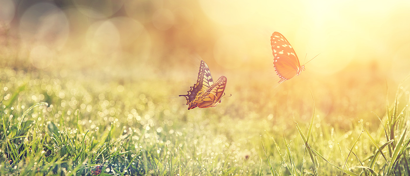 AIを「正しく疑う」ことの大切さ｜実務者だからこそ持つべき視点