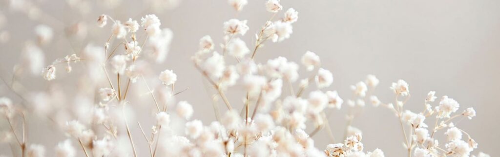 外国人材受入れ制度の「過去」と「今」と「これから」を整理する。