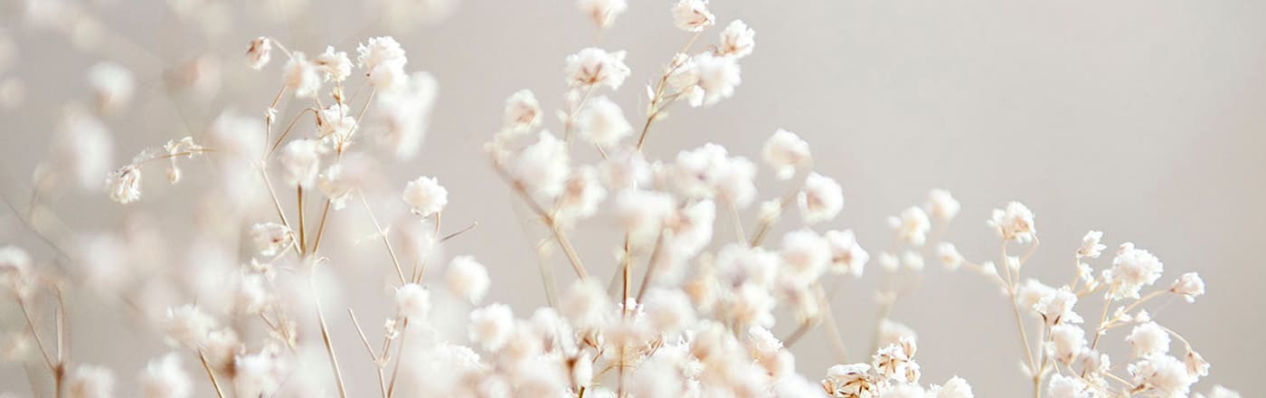 外国人材受入れ制度の「過去」と「今」と「これから」を整理する。