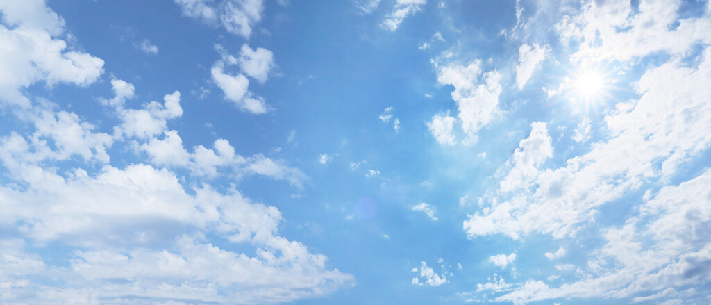 特定技能・育成就労制度を徹底解説