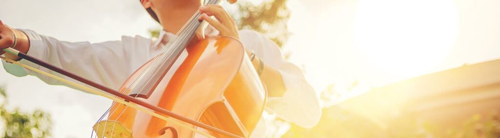 技能実習制度の職種と、特定技能、育成就労の分野との関係