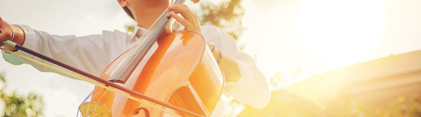 技能実習制度の職種と、特定技能、育成就労の分野との関係