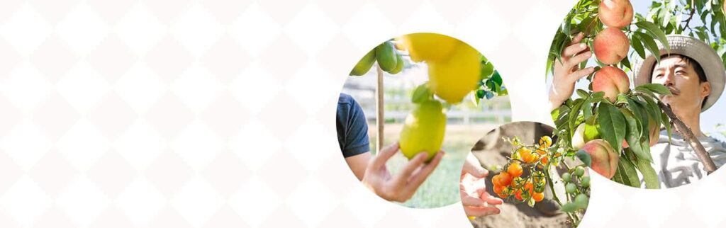 いよいよ　令和8年2月20日付にて【育成就労制度　運用要領）が公表されました。