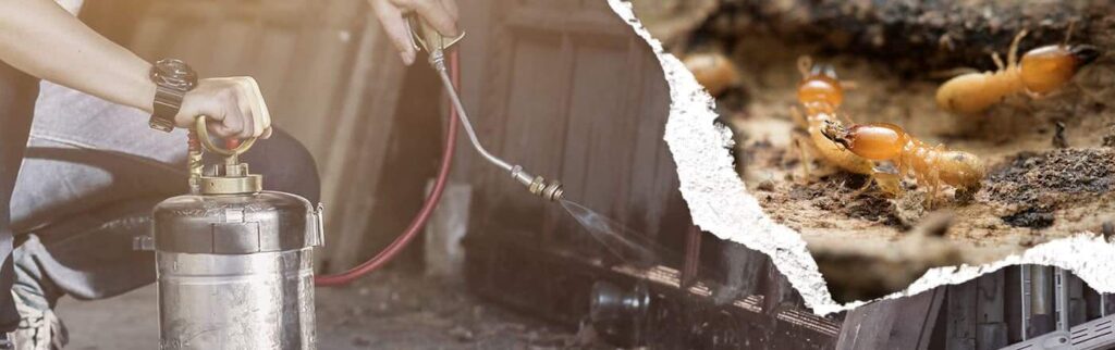 福井の特定行政書士が解説！GPTを使いこなすプロンプト術