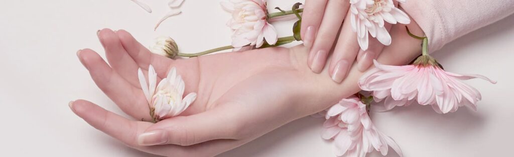 黒字なのにお金がない会社の共通点｜社長が気づいていない資金繰りの落とし穴（北陸・福井｜特定行政書士が解説）