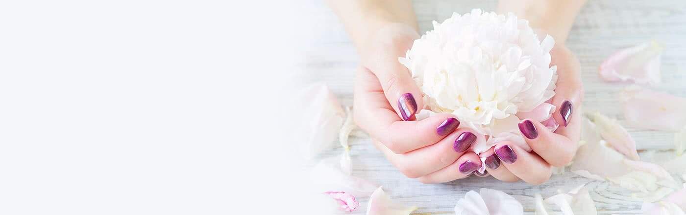 福井の特定行政書士が解説｜外国人採用前に知るべき5つの壁