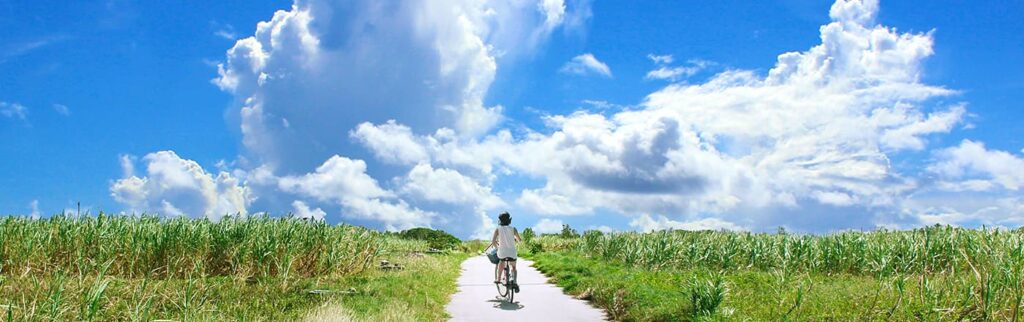 福井の特定行政書士が解説する、日本が外国人に憧れの国であり続ける理由