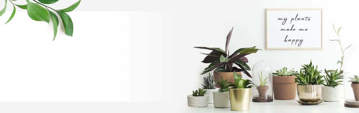 外国人受入企業必見！　「技能検定」と「特定技能評価試験」の定義