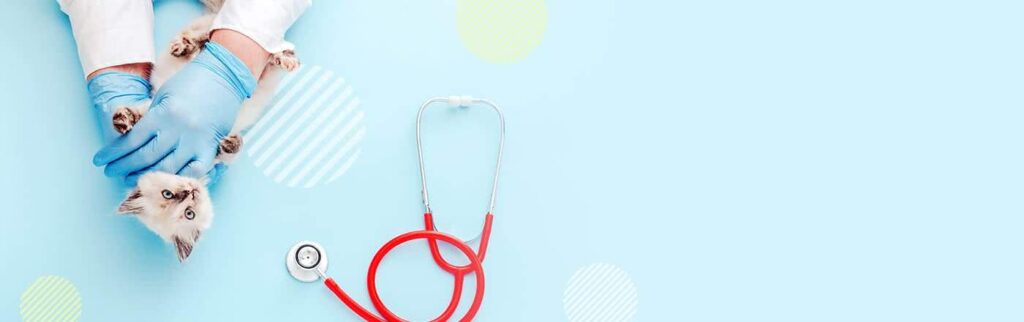 帰化はなぜ厳しくなるのか（国民視点）｜それでも帰化を目指す人への現実的戦略