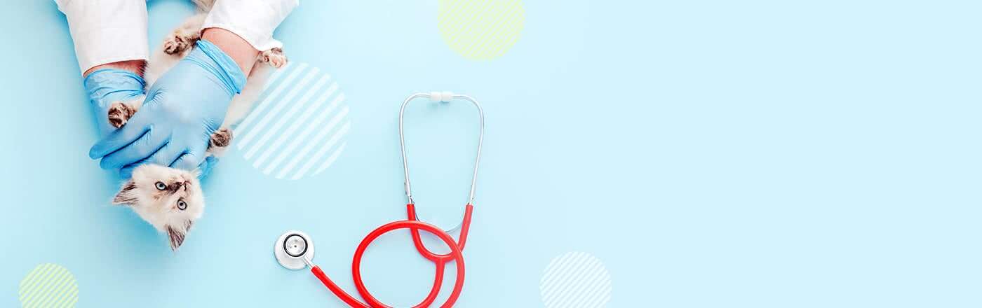 帰化はなぜ厳しくなるのか（国民視点）｜それでも帰化を目指す人への現実的戦略